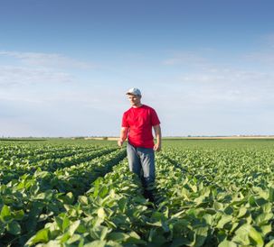 Operation Weed Eradication Adds New Coalition Member