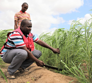 AGCO Agriculture Foundation and Kenya Red Cross Society Announce Second Phase of Project Partnership Addressing Climate Change and Food Insecurity in Kenya’s Dadaab Refugee Complex