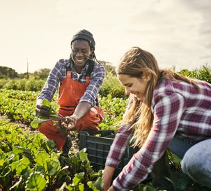 AGCO Agriculture Foundation Launches Africa Agribusiness Qualification Program