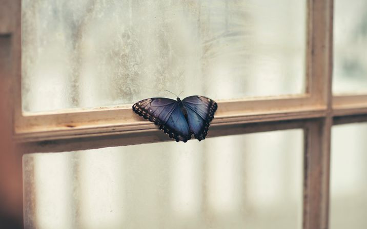 jian-xhin-281513-unsplash