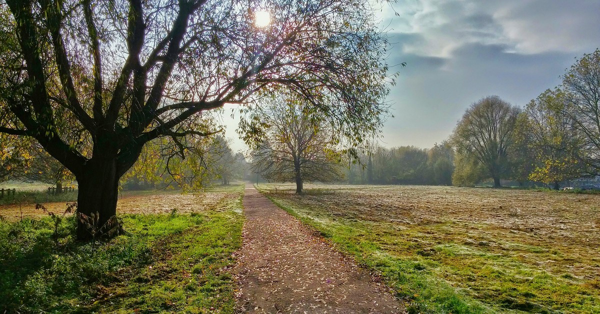 toni-lluch-JoRoy500nCc-unsplash