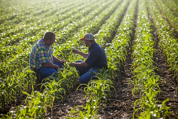 2015 Silver and Bronze Anvils Winner Highlight: Feeding the World One Farmer at a Time