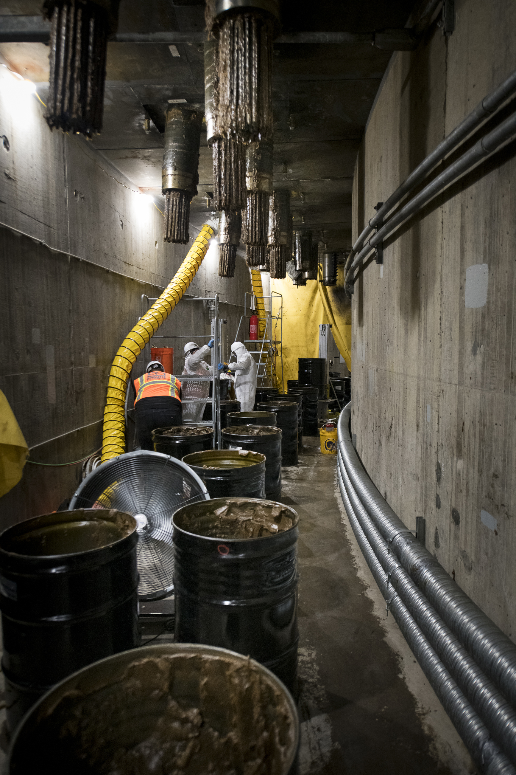 Collecting Grease