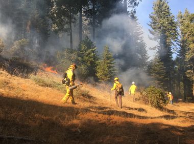 Spreading the Word on Prescribed Burns for Forest Health