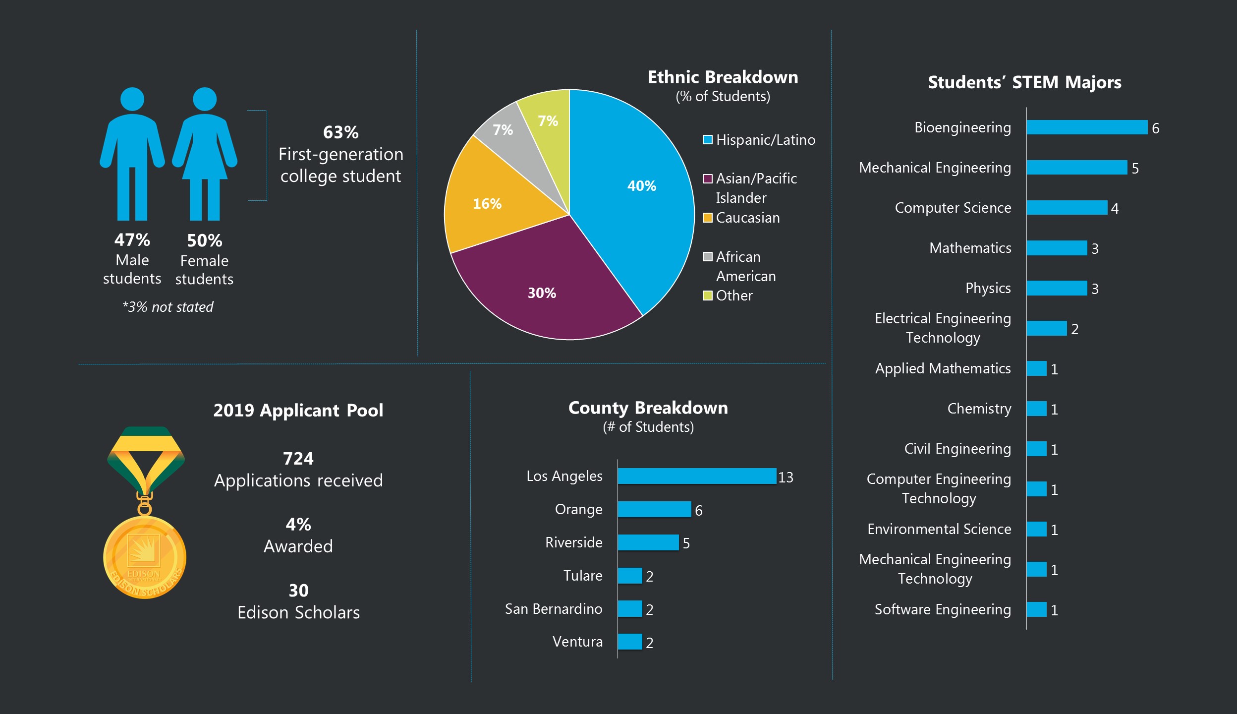 Edison Scholars 2019 by the Numbers