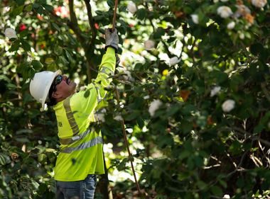 20 Years Later, Still Protecting Communities
