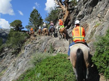 Pack Mules Help SCE Get the Job Done