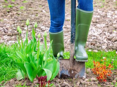 Safety Tip: Call 811 Before You Dig
