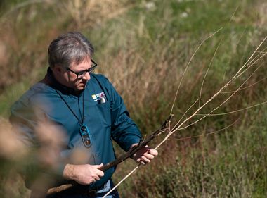 SCE Harnesses Technology to Hone Wildfire Forecasts