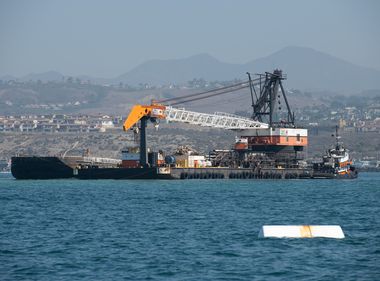 Creating a Rain Forest in the Pacific Ocean