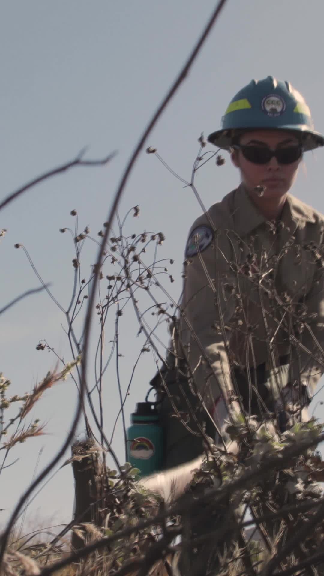 Video loop - Portrait