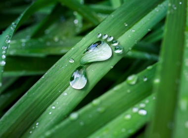 Reducing Your Carbon Footprint in the New Year