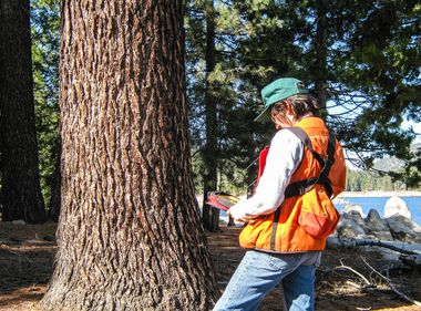 A 100-Year-Old Map to a Healthy Forest