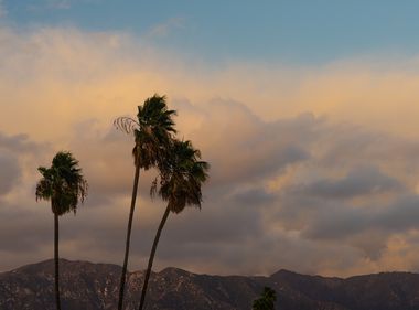 Fire Weather Forecast as Strong Winds Expected