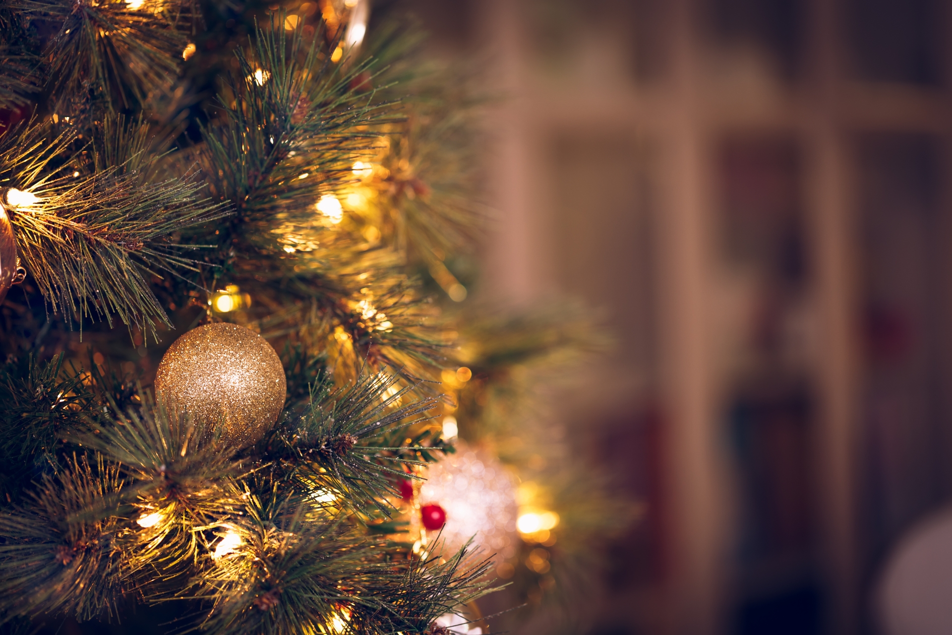 On average, 160 home fires begin with Christmas trees each year, according to the Electrical Safety Foundation International.