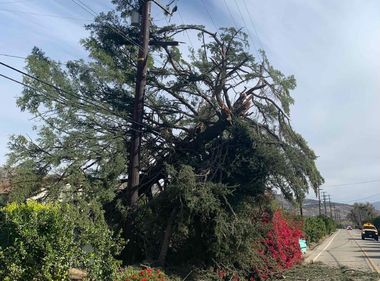 Electrical Equipment Damage Seen Due to High Winds