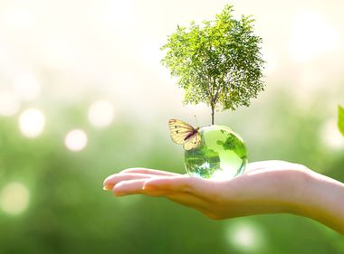 Clean Energy Resolutions for the New Year