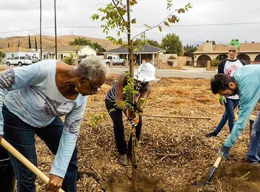 Planting Trees for Greener, Cleaner Communities