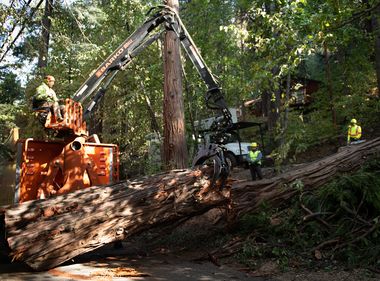 SCE Launches Major Wildfire Mitigation Effort Near Mammoth Lakes
