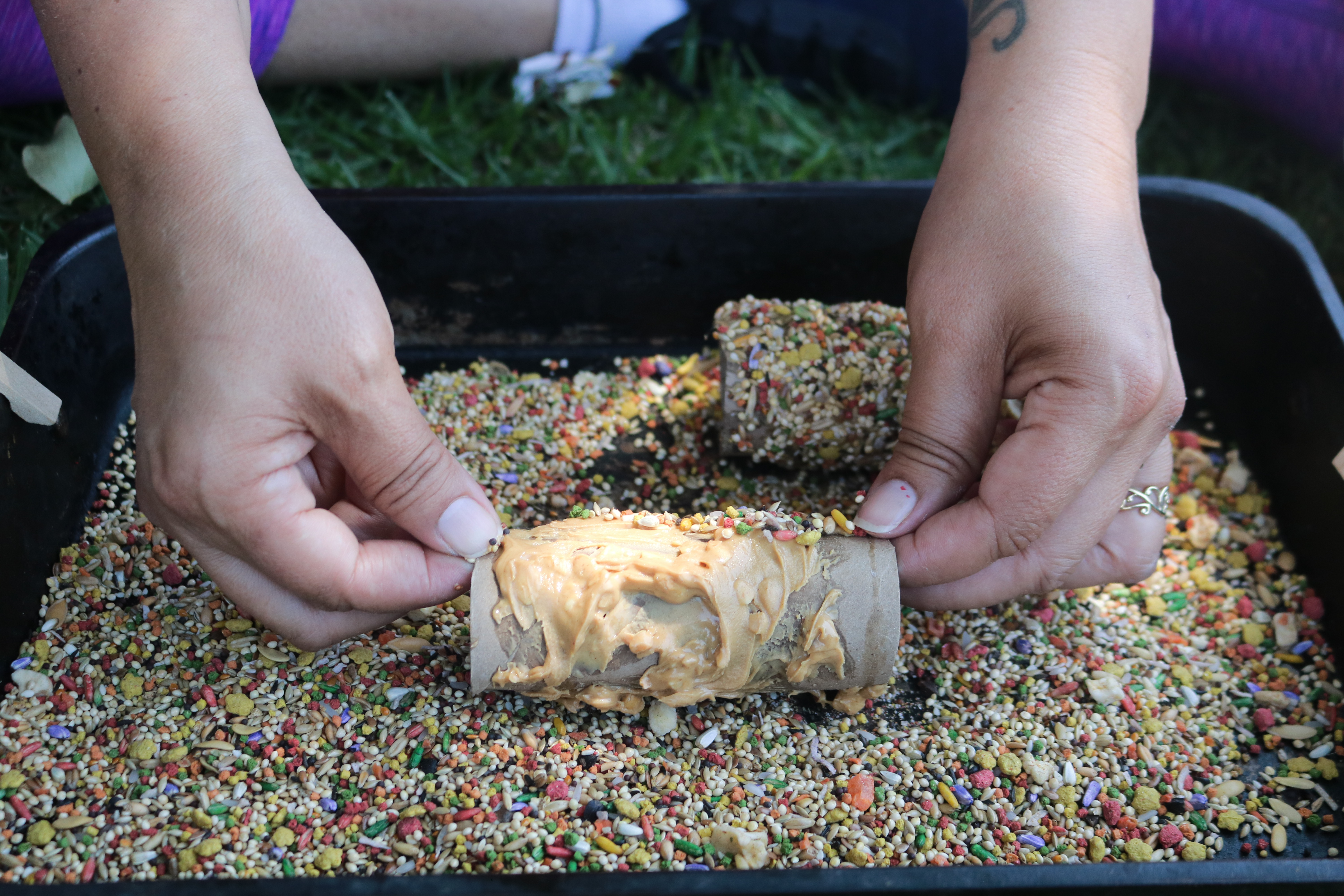 DIY Bird Feeder