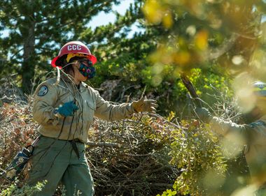 CCC Forestry Corps Plays Vital Role in State’s Wildfire Mitigation