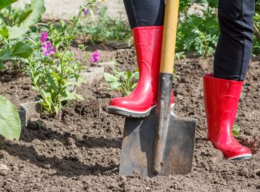 Only After Calling 811 is Digging Safely Shovel Ready