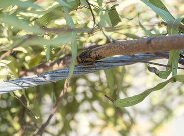 New Pilot Technology Helps Combat Wildfires