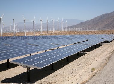 Celebrating 135 Years of Resilience, Innovation