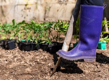 Before Digging Anything, Call 811