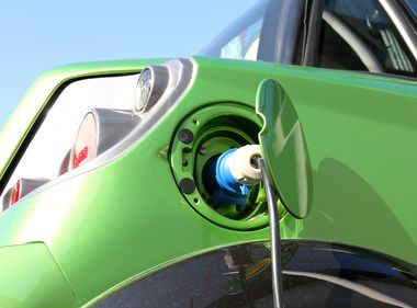 Going Green for St. Patrick’s Day