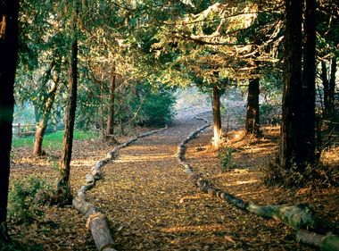 Celebrating 50 Years of Love for Mother Earth