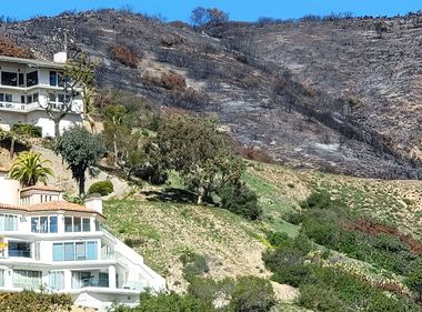 Helping Laguna Coast Prevent Wildfire Damage