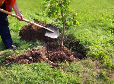 Can You Dig It? Yes, but Only After Calling 811