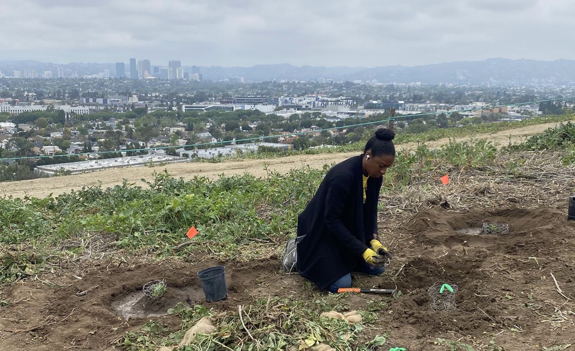 "We are pulling out invasive species and planting native California plants," said Melissa Potts, volunteer program coordinator at the California State Parks Foundation. "Sponsors like Edison are the reason this is possible, and it creates such impact statewide."