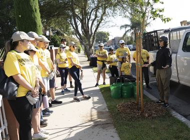 A Greener Community For a Cooler Lynwood