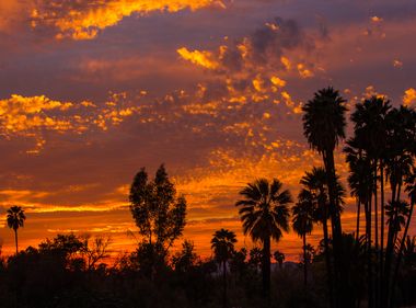 UPDATE: State Urges Energy Conservation During Heat Wave