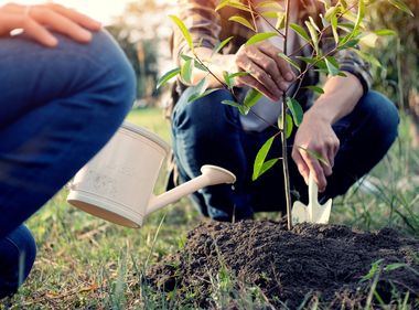 Simple Actions You Can Take to Improve Air Quality