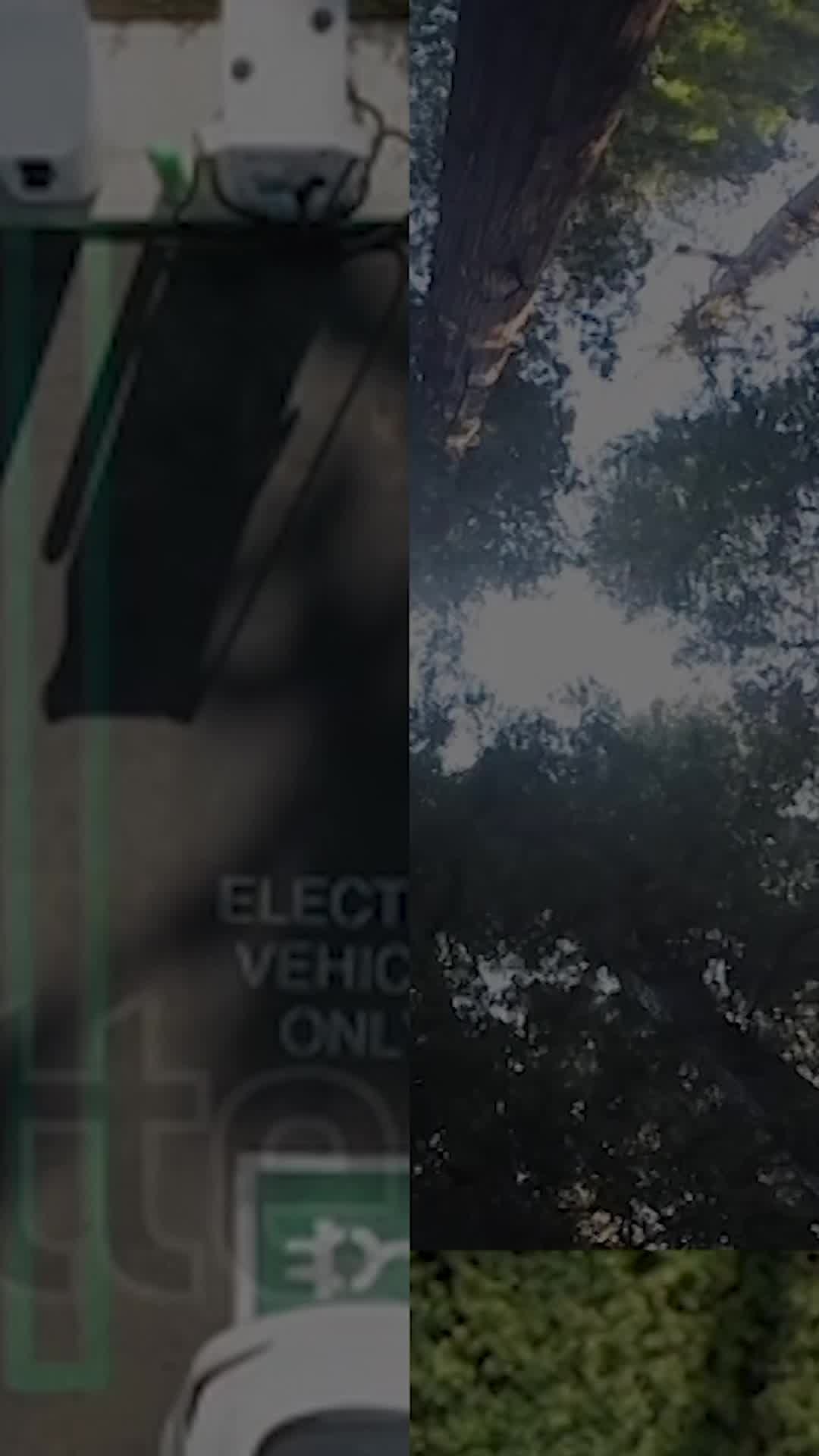 EP4 - ENVIRONMENT - PORTRAIT LOOP