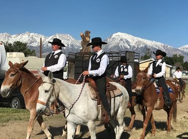 Learning History, Life Skills by Handling Mules
