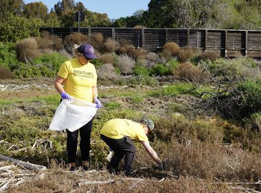 Restoring the Beauty of the Communities SCE Serves