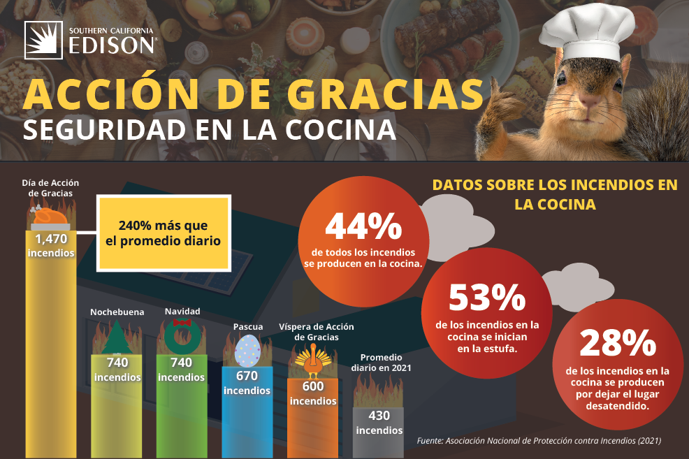 Thanksgiving Cooking Safety - Spanish
