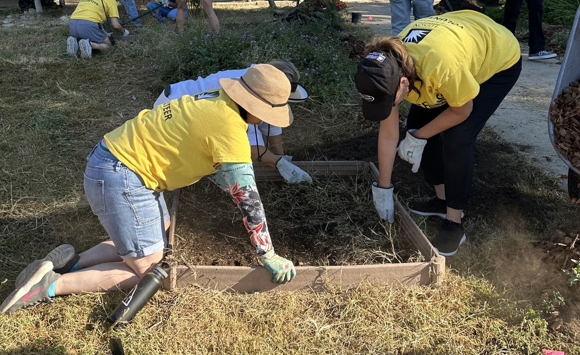 Volunteers prepare a box for planting.