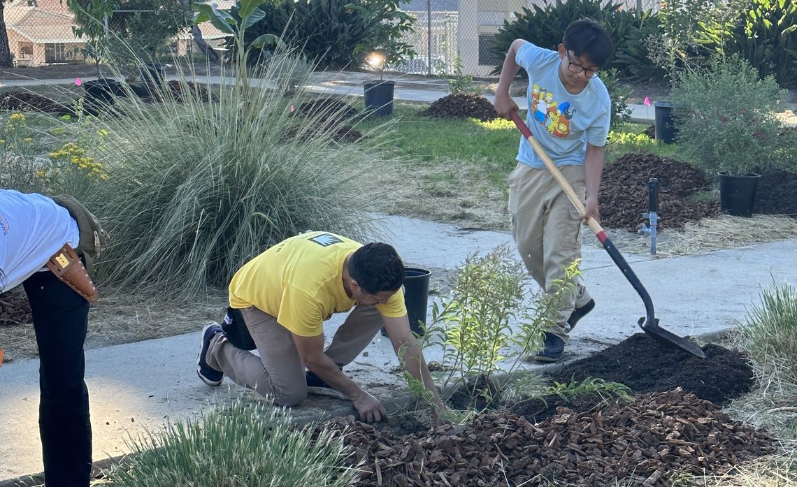 SCE's Vegetation Management team donated mulch and wood chips for the volunteer project. 