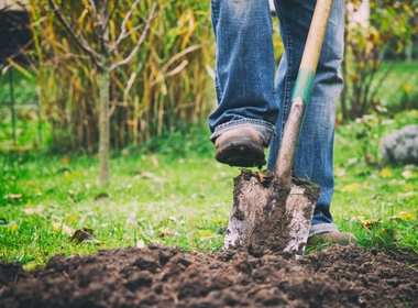The Hole Truth? Always Call 811 Before Digging