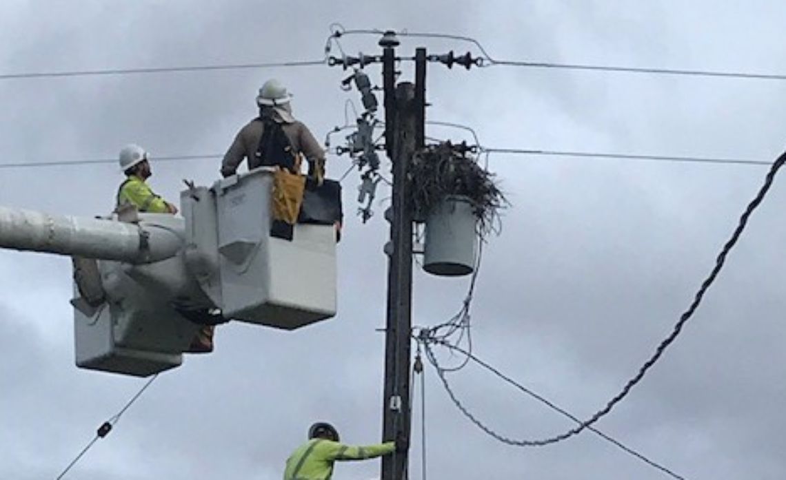 SCE crews preparing to install a relocation structure for a nest built on top of a transformer.