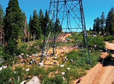All in a Day’s Work for Nature’s Firefighters