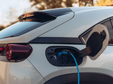 New Year, New Ways to Reduce Carbon Footprint