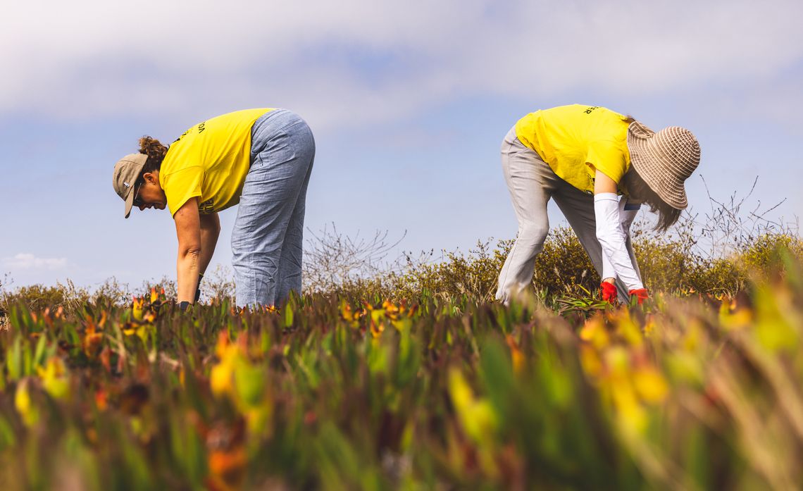 Edison International’s Cure for Earth Month FOMO | Energized by Edison