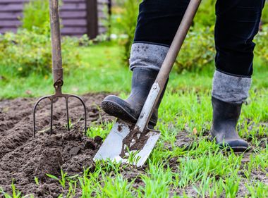 A Shovel Full of Wisdom — Call 811 Before Digging
