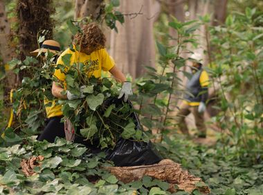 Preserving Nature's Treasures